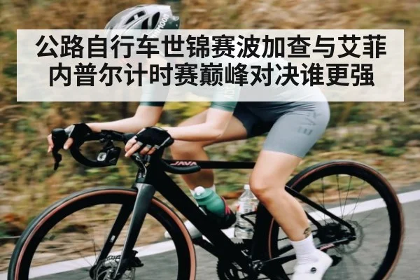 公路自行车世锦赛波加查与艾菲内普尔计时赛巅峰对决谁更强
