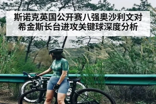 斯诺克英国公开赛八强奥沙利文对希金斯长台进攻关键球深度分析